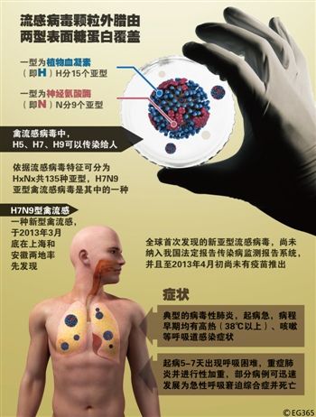 H7N9禽流感病毒症状